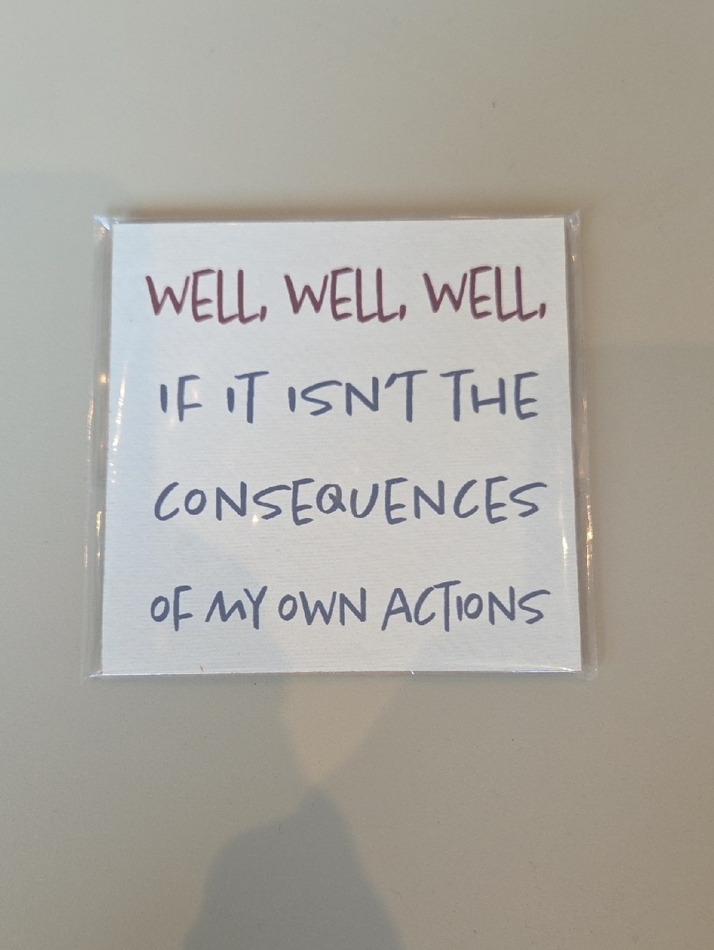 Funny Fridge Magnet